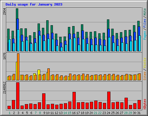Daily usage for January 2023