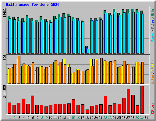Daily usage for June 2024