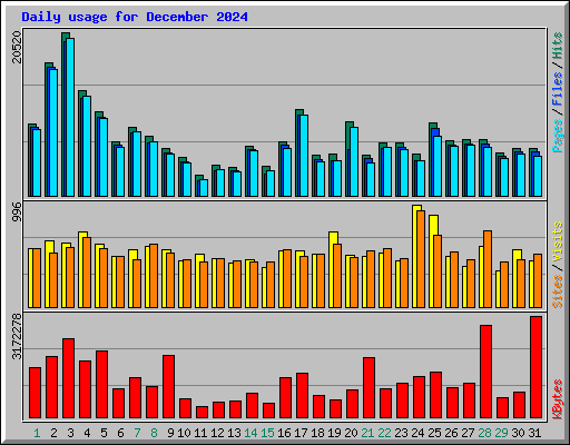 Daily usage for December 2024