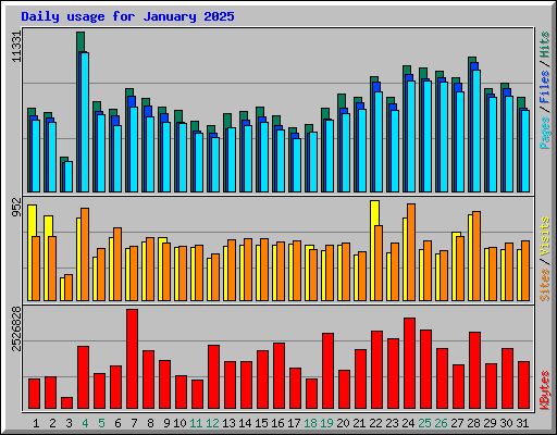 Daily usage for January 2025