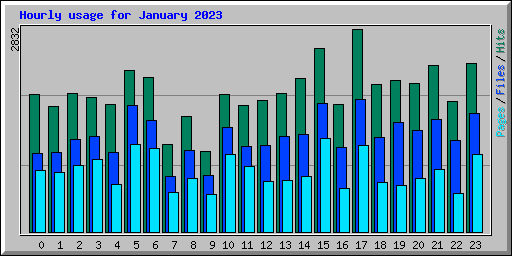 Hourly usage for January 2023
