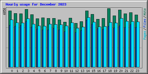 Hourly usage for December 2023