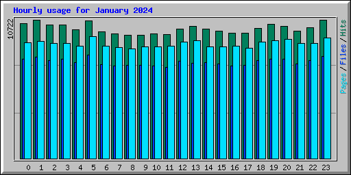 Hourly usage for January 2024