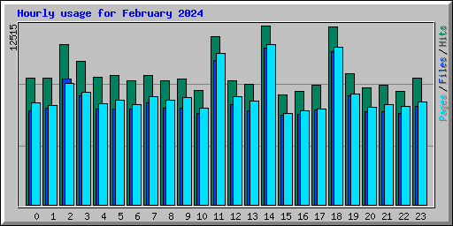 Hourly usage for February 2024