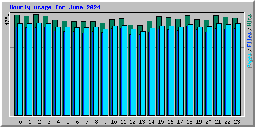 Hourly usage for June 2024