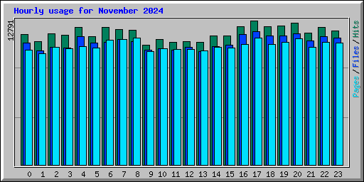 Hourly usage for November 2024