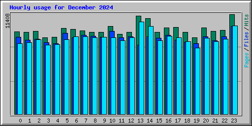 Hourly usage for December 2024