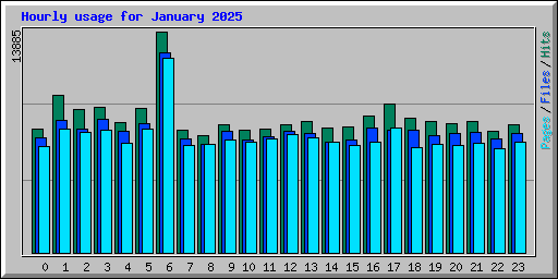 Hourly usage for January 2025