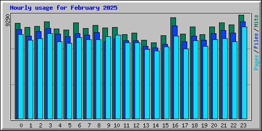 Hourly usage for February 2025