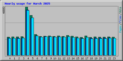 Hourly usage for March 2025