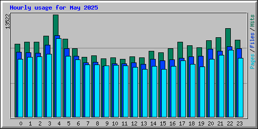 Hourly usage for May 2025