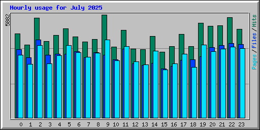 Hourly usage for July 2025