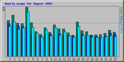 Hourly usage for August 2025