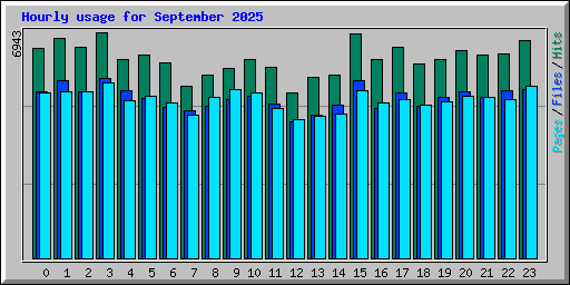 Hourly usage for September 2025