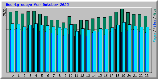 Hourly usage for October 2025