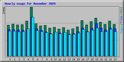 Hourly usage for November 2025