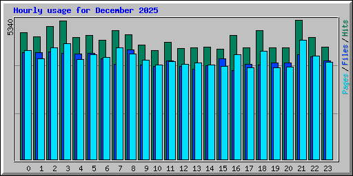 Hourly usage for December 2025