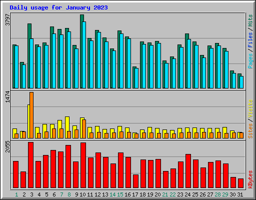 Daily usage for January 2023