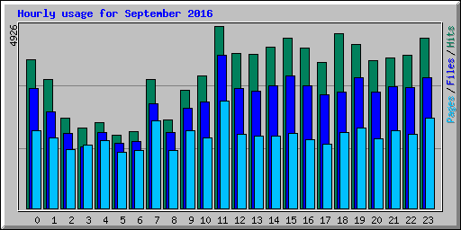 Hourly usage for September 2016