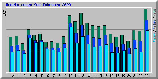 Hourly usage for February 2020