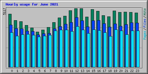 Hourly usage for June 2021
