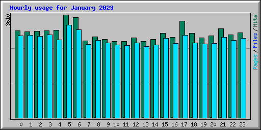 Hourly usage for January 2023