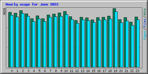 Hourly usage for June 2023