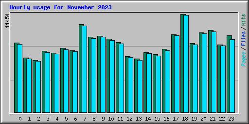 Hourly usage for November 2023