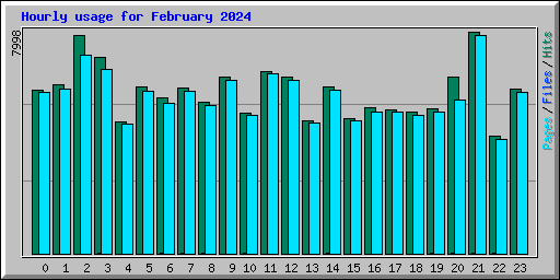 Hourly usage for February 2024