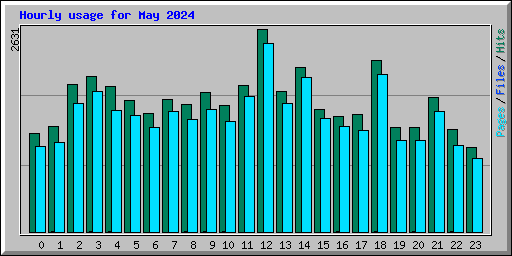 Hourly usage for May 2024