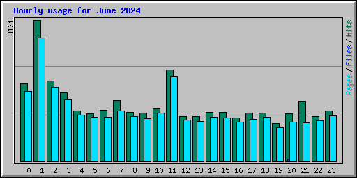 Hourly usage for June 2024