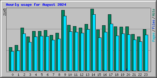 Hourly usage for August 2024