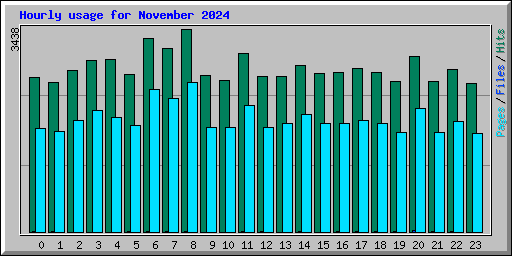 Hourly usage for November 2024