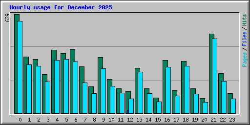 Hourly usage for December 2025